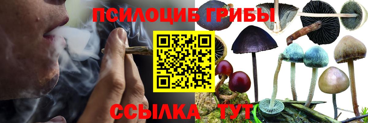 Псилоцибиновые грибы ЛСД Ставрополь